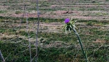 Νέο ΦΕΚ: Τι αλλάζει για τους αγρότες του ειδικού καθεστώτος ΦΠΑ με το Μέτρο 23