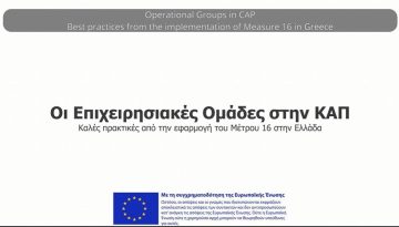 Νέο βίντεο στο κανάλι YouTube του CAP4YOU: Παραδείγματα καλών πρακτικών από Επιχειρησιακές Ομάδες του Μέτρου 16 της ΚΑΠ