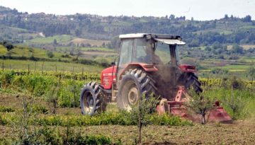Ως 31/5 για επενδυτικά σχέδια αναδιάρθρωσης των καλλιεργειών