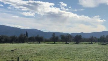 ΠΕΦΑΣΥ: Ούτε το 5% των προβλημάτων δεν καλύπτεται με τις διορθώσεις που μπορεί να γίνουν στο ΟΣΔΕ