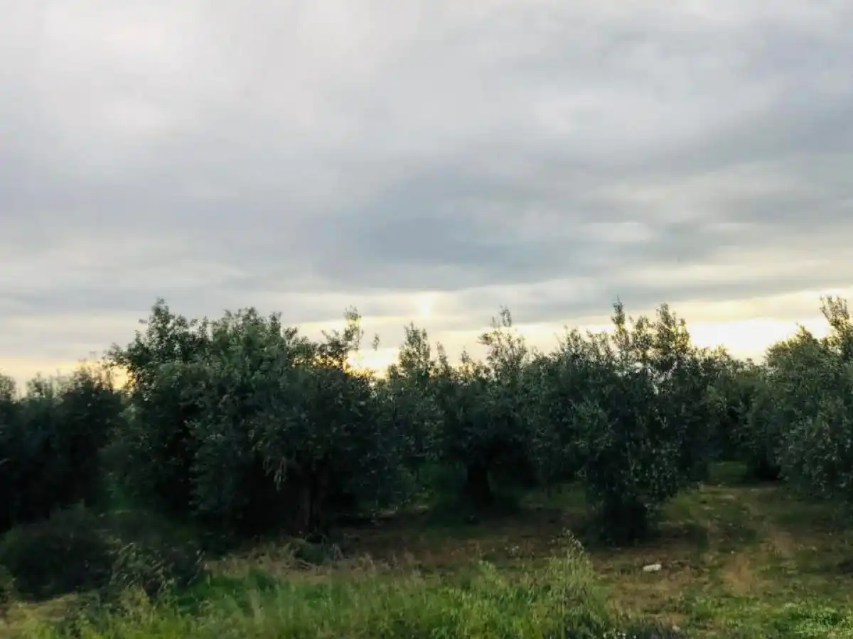 &Sigma;&upsilon;&nu;ά&nu;&tau;&eta;&sigma;&eta; &gamma;&iota;&alpha; &tau;&iota;&sigmaf; &kappa;&alpha;&theta;&upsilon;&sigma;&tau;&epsilon;&rho;ή&sigma;&epsilon;&iota;&sigmaf; &pi;&lambda;&eta;&rho;&omega;&mu;ώ&nu; &kappa;&alpha;&iota; &tau;&alpha; &pi;&rho;&omicron;&gamma;&rho;ά&mu;&mu;&alpha;&tau;&alpha; &sigma;&tau;&eta;&nu; &Kappa;&rho;ή&tau;&eta;