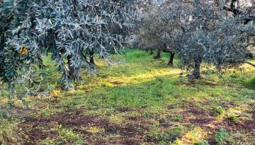 Συζήτηση στη βουλή για ΟΕΦ: Καμιά συγκεκριμένη δέσμευση ΥπΑΑΤ, εν αναμονή απάντησης από ΕΕ