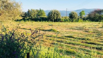 Στη βουλή από Ελληνική Λύση οι καταγγελίες “για πληρωμή φιάσκο σε αγρότες”