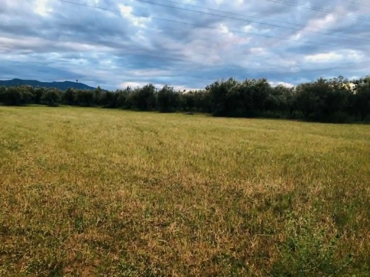 &Sigma;&alpha;&rho;&omega;&tau;&iota;&kappa;&omicron;ί έ&lambda;&epsilon;&gamma;&chi;&omicron;&iota; &kappa;&alpha;&iota; &sigma;&tau;&alpha; &alpha;&gamma;&rho;&omicron;&pi;&epsilon;&rho;&iota;&beta;&alpha;&lambda;&lambda;&omicron;&nu;&tau;&iota;&kappa;ά, &pi;&omicron;&iota;&nu;έ&sigmaf; &kappa;&alpha;&iota; &epsilon;&pi;&iota;&sigma;&tau;&rho;&omicron;&phi;έ&sigmaf; &epsilon;&nu;&iota;&sigma;&chi;ύ&sigma;&epsilon;&omega;&nu; | Agronewsbomb | &Epsilon;&iota;&delta;ή&sigma;&epsilon;&iota;&sigmaf; &kappa;&alpha;&iota; &nu;έ&alpha; &gamma;&iota;&alpha; &alpha;&gamma;&rho;ό&tau;&epsilon;&sigmaf; &kappa;&alpha;&iota; &kappa;&tau;&eta;&nu;&omicron;&tau;&rho;ό&phi;&omicron;&upsilon;&sigmaf;