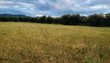 &Sigma;&alpha;&rho;&omega;&tau;&iota;&kappa;&omicron;ί έ&lambda;&epsilon;&gamma;&chi;&omicron;&iota; &kappa;&alpha;&iota; &sigma;&tau;&alpha; &alpha;&gamma;&rho;&omicron;&pi;&epsilon;&rho;&iota;&beta;&alpha;&lambda;&lambda;&omicron;&nu;&tau;&iota;&kappa;ά, &pi;&omicron;&iota;&nu;έ&sigmaf; &kappa;&alpha;&iota; &epsilon;&pi;&iota;&sigma;&tau;&rho;&omicron;&phi;έ&sigmaf; &epsilon;&nu;&iota;&sigma;&chi;ύ&sigma;&epsilon;&omega;&nu; | Agronewsbomb | &Epsilon;&iota;&delta;ή&sigma;&epsilon;&iota;&sigmaf; &kappa;&alpha;&iota; &nu;έ&alpha; &gamma;&iota;&alpha; &alpha;&gamma;&rho;ό&tau;&epsilon;&sigmaf; &kappa;&alpha;&iota; &kappa;&tau;&eta;&nu;&omicron;&tau;&rho;ό&phi;&omicron;&upsilon;&sigmaf;