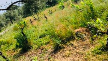 Νέοι αγρότες: Παρέμβαση Ζεϊμπέκ στη βουλή για τις αναμονές | Agronewsbomb | Ειδήσεις και νέα για αγρότες και κτηνοτρόφους