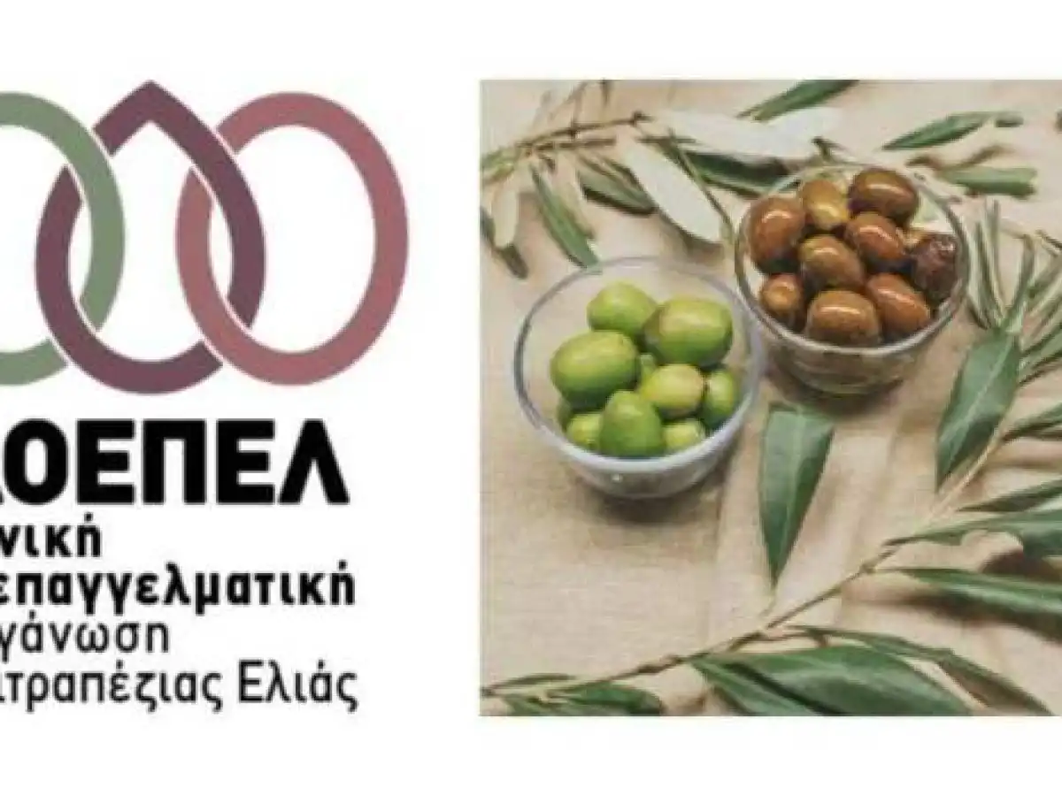 &Delta;ύ&omicron; &kappa;&rho;ί&sigma;&iota;&mu;&alpha; &zeta;&eta;&tau;ή&mu;&alpha;&tau;&alpha; &tau;&omicron;&upsilon; &kappa;&lambda;ά&delta;&omicron;&upsilon; &tau;&eta;&sigmaf; &epsilon;&pi;&iota;&tau;&rho;&alpha;&pi;έ&zeta;&iota;&alpha;&sigmaf; &epsilon;&lambda;&iota;ά&sigmaf; &alpha;&pi;&alpha;&iota;&tau;&omicron;ύ&nu; ά&mu;&epsilon;&sigma;&epsilon;&sigmaf; &kappa;&alpha;&iota; &alpha;&pi;&omicron;&tau;&epsilon;&lambda;&epsilon;&sigma;&mu;&alpha;&tau;&iota;&kappa;έ&sigmaf; &pi;&alpha;&rho;&epsilon;&mu;&beta;ά&sigma;&epsilon;&iota;&sigmaf; &alpha;&pi;ό &tau;&omicron; &alpha;&rho;&mu;ό&delta;&iota;&omicron; &Upsilon;&Pi;&Alpha;&Alpha;&Tau; &kappa;&alpha;&iota; &tau;&eta;&nu; &Pi;&omicron;&lambda;&iota;&tau;&epsilon;ί&alpha;