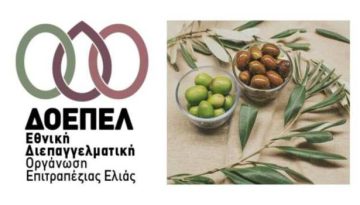 Δύο κρίσιμα ζητήματα του κλάδου της επιτραπέζιας ελιάς απαιτούν άμεσες και αποτελεσματικές παρεμβάσεις από το αρμόδιο ΥΠΑΑΤ και την Πολιτεία