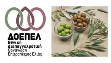 &Delta;ύ&omicron; &kappa;&rho;ί&sigma;&iota;&mu;&alpha; &zeta;&eta;&tau;ή&mu;&alpha;&tau;&alpha; &tau;&omicron;&upsilon; &kappa;&lambda;ά&delta;&omicron;&upsilon; &tau;&eta;&sigmaf; &epsilon;&pi;&iota;&tau;&rho;&alpha;&pi;έ&zeta;&iota;&alpha;&sigmaf; &epsilon;&lambda;&iota;ά&sigmaf; &alpha;&pi;&alpha;&iota;&tau;&omicron;ύ&nu; ά&mu;&epsilon;&sigma;&epsilon;&sigmaf; &kappa;&alpha;&iota; &alpha;&pi;&omicron;&tau;&epsilon;&lambda;&epsilon;&sigma;&mu;&alpha;&tau;&iota;&kappa;έ&sigmaf; &pi;&alpha;&rho;&epsilon;&mu;&beta;ά&sigma;&epsilon;&iota;&sigmaf; &alpha;&pi;ό &tau;&omicron; &alpha;&rho;&mu;ό&delta;&iota;&omicron; &Upsilon;&Pi;&Alpha;&Alpha;&Tau; &kappa;&alpha;&iota; &tau;&eta;&nu; &Pi;&omicron;&lambda;&iota;&tau;&epsilon;ί&alpha;