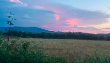 &Alpha;&nu;ά&theta;&epsilon;&sigma;&eta; &kappa;&alpha;&theta;&eta;&kappa;ό&nu;&tau;&omega;&nu; &gamma;&iota;&alpha; έ&gamma;&kappa;&rho;&iota;&sigma;&eta; &pi;&lambda;&eta;&rho;&omega;&mu;ώ&nu; &beta;ά&sigma;&epsilon;&iota; &Sigma;&Sigma; &Kappa;&Alpha;&Pi; | Agronewsbomb | &Epsilon;&iota;&delta;ή&sigma;&epsilon;&iota;&sigmaf; &kappa;&alpha;&iota; &nu;έ&alpha; &gamma;&iota;&alpha; &alpha;&gamma;&rho;ό&tau;&epsilon;&sigmaf; &kappa;&alpha;&iota; &kappa;&tau;&eta;&nu;&omicron;&tau;&rho;ό&phi;&omicron;&upsilon;&sigmaf;