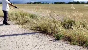 Γρεβενά: Επιδρομή ακρίδων σε καλλιέργειες