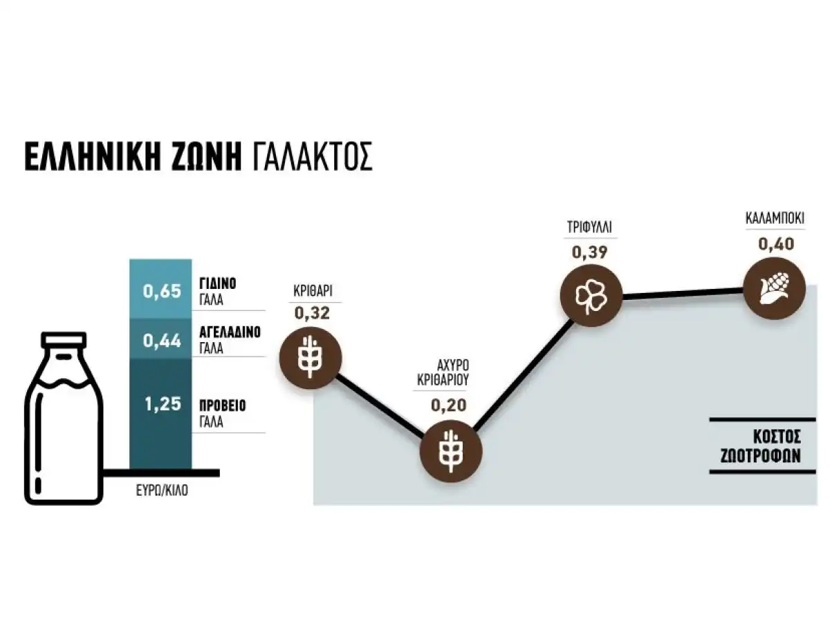 &Alpha;&beta;&epsilon;&beta;&alpha;&iota;ό&tau;&eta;&tau;&alpha; &sigma;&tau;&eta; &zeta;ώ&nu;&eta; &gamma;ά&lambda;&alpha;&kappa;&tau;&omicron;&sigmaf;, &lambda;&epsilon;&upsilon;&kappa;ή &epsilon;&pi;&iota;&tau;&alpha;&gamma;ή &gamma;&iota;&alpha; &kappa;ά&lambda;&upsilon;&psi;&eta; &alpha;&nu;&alpha;&gamma;&kappa;ώ&nu;