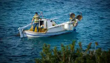 &Upsilon;&Pi;&Alpha;&Alpha;&Tau;: &Pi;&iota;&lambda;&omicron;&tau;&iota;&kappa;ό &pi;&rho;ό&gamma;&rho;&alpha;&mu;&mu;&alpha; &gamma;&iota;&alpha; &tau;&eta;&nu; &alpha;&nu;&tau;&iota;&mu;&epsilon;&tau;ώ&pi;&iota;&sigma;&eta; &tau;&omicron;&upsilon; &lambda;&alpha;&gamma;&omicron;&kappa;έ&phi;&alpha;&lambda;&omicron;&upsilon; &bull; &Theta;&epsilon;&sigma;&sigma;&alpha;&lambda;&iota;&kappa;ή &Gamma;&eta; &bull; &Tau;&alpha; &Alpha;&gamma;&rho;&omicron;&tau;&iota;&kappa;ά &Nu;έ&alpha; &tau;&eta;&sigmaf; &Theta;&epsilon;&sigma;&sigma;&alpha;&lambda;ί&alpha;&sigmaf;