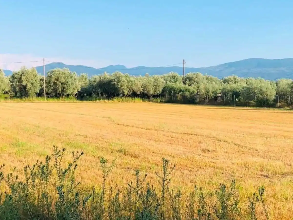 &Epsilon;&rho;ώ&tau;&eta;&sigma;&eta; 7 &Alpha;&nu;&epsilon;&xi;ά&rho;&tau;&eta;&tau;&omega;&nu; &beta;&omicron;&upsilon;&lambda;&epsilon;&upsilon;&tau;ώ&nu; &tau;&eta;&sigmaf; &Alpha;&rho;&iota;&sigma;&tau;&epsilon;&rho;ά&sigmaf; &gamma;&iota;&alpha; &nu;έ&alpha; &Kappa;&Alpha;&Pi; | Agronewsbomb | &Epsilon;&iota;&delta;ή&sigma;&epsilon;&iota;&sigmaf; &kappa;&alpha;&iota; &nu;έ&alpha; &gamma;&iota;&alpha; &alpha;&gamma;&rho;ό&tau;&epsilon;&sigmaf; &kappa;&alpha;&iota; &kappa;&tau;&eta;&nu;&omicron;&tau;&rho;ό&phi;&omicron;&upsilon;&sigmaf;