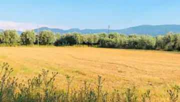 &Epsilon;&rho;ώ&tau;&eta;&sigma;&eta; 7 &Alpha;&nu;&epsilon;&xi;ά&rho;&tau;&eta;&tau;&omega;&nu; &beta;&omicron;&upsilon;&lambda;&epsilon;&upsilon;&tau;ώ&nu; &tau;&eta;&sigmaf; &Alpha;&rho;&iota;&sigma;&tau;&epsilon;&rho;ά&sigmaf; &gamma;&iota;&alpha; &nu;έ&alpha; &Kappa;&Alpha;&Pi; | Agronewsbomb | &Epsilon;&iota;&delta;ή&sigma;&epsilon;&iota;&sigmaf; &kappa;&alpha;&iota; &nu;έ&alpha; &gamma;&iota;&alpha; &alpha;&gamma;&rho;ό&tau;&epsilon;&sigmaf; &kappa;&alpha;&iota; &kappa;&tau;&eta;&nu;&omicron;&tau;&rho;ό&phi;&omicron;&upsilon;&sigmaf;