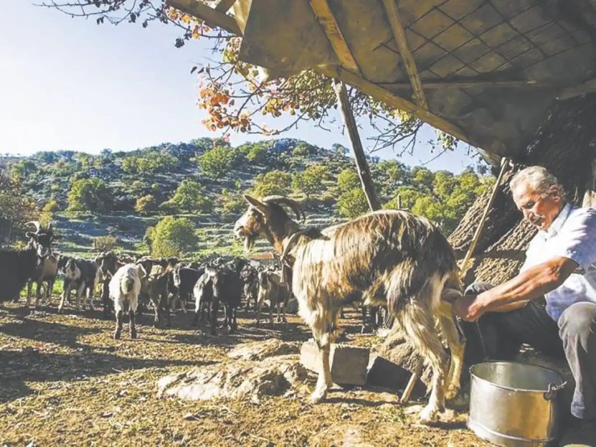 &Kappa;&rho;&omicron;ύ&sigma;&mu;&alpha;&tau;&alpha; &epsilon;&upsilon;&lambda;&omicron;&gamma;&iota;ά&sigmaf; &sigma;&tau;&eta; &Rho;&omicron;&delta;ό&pi;&eta;: &Tau;&rho;&epsilon;&iota;&sigmaf; &epsilon;&sigma;&tau;ί&epsilon;&sigmaf; &tau;&omicron;&nu; &tau;&epsilon;&lambda;&epsilon;&upsilon;&tau;&alpha;ί&omicron; &mu;ή&nu;&alpha; &ndash; &Theta;&alpha;&nu;&alpha;&tau;ώ&theta;&eta;&kappa;&alpha;&nu; 710 &zeta;ώ&alpha;