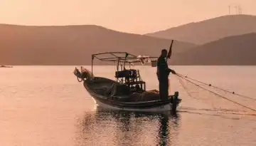 &Sigma;&chi;έ&delta;&iota;&omicron; &delta;&rho;ά&sigma;&eta;&sigmaf; &gamma;&iota;&alpha; &tau;&omicron;&nu; &pi;&epsilon;&rho;&iota;&omicron;&rho;&iota;&sigma;&mu;ό &tau;&omicron;&upsilon; &lambda;&alpha;&gamma;&omicron;&kappa;έ&phi;&alpha;&lambda;&omicron;&upsilon; &sigma;&tau;&eta; &Mu;&epsilon;&sigma;ό&gamma;&epsilon;&iota;&omicron; &bull; &Theta;&epsilon;&sigma;&sigma;&alpha;&lambda;&iota;&kappa;ή &Gamma;&eta; &bull; &Tau;&alpha; &Alpha;&gamma;&rho;&omicron;&tau;&iota;&kappa;ά &Nu;έ&alpha; &tau;&eta;&sigmaf; &Theta;&epsilon;&sigma;&sigma;&alpha;&lambda;ί&alpha;&sigmaf;