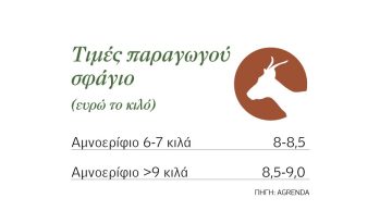 Ακόμα και 10 ευρώ έπιασαν τα λίγα αρνιά εγχώριας παραγωγής