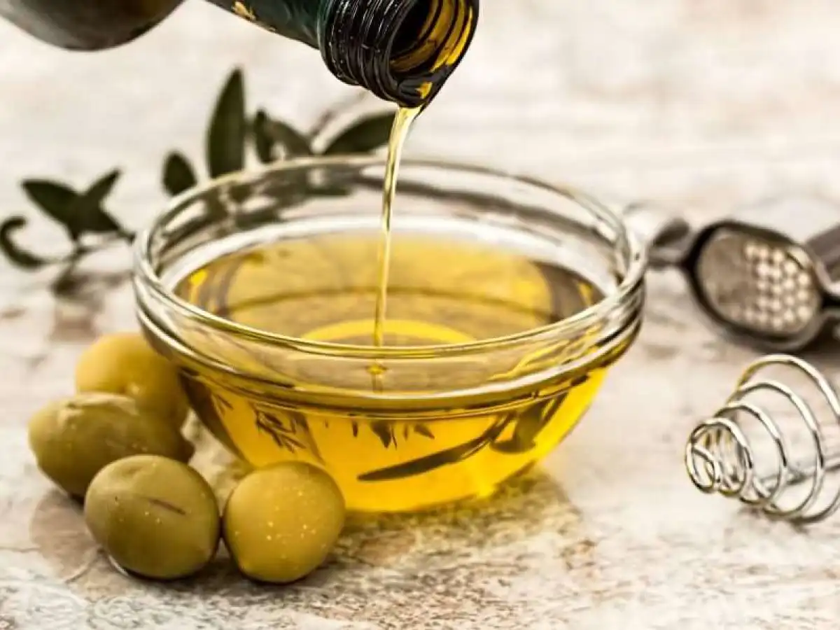 &Sigma;&upsilon;&nu;&alpha;&gamma;&epsilon;&rho;&mu;ό&sigmaf; &gamma;&iota;&alpha; &tau;&omicron; &epsilon;&lambda;&lambda;&eta;&nu;&iota;&kappa;ό &epsilon;&lambda;&alpha;&iota;ό&lambda;&alpha;&delta;&omicron; &kappa;&alpha;&iota; &tau;&iota;&sigmaf; &epsilon;&lambda;&iota;έ&sigmaf; &ndash; &Pi;&alpha;&rho;έ&mu;&beta;&alpha;&sigma;&eta; &tau;&eta;&sigmaf; &Sigma;&Alpha;&Sigma;&Omicron;&Epsilon; &gamma;&iota;&alpha; &tau;&omicron; &alpha;&upsilon;&sigma;&tau;&rho;&alpha;&lambda;&iota;&alpha;&nu;ό &sigma;ύ&sigma;&tau;&eta;&mu;&alpha; &alpha;&xi;&iota;&omicron;&lambda;ό&gamma;&eta;&sigma;&eta;&sigmaf; &tau;&rho;&omicron;&phi;ί&mu;&omega;&nu; &bull; &Theta;&epsilon;&sigma;&sigma;&alpha;&lambda;&iota;&kappa;ή &Gamma;&eta; &bull; &Tau;&alpha; &Alpha;&gamma;&rho;&omicron;&tau;&iota;&kappa;ά &Nu;έ&alpha; &tau;&eta;&sigmaf; &Theta;&epsilon;&sigma;&sigma;&alpha;&lambda;ί&alpha;&sigmaf;