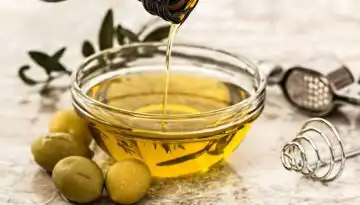 &Sigma;&upsilon;&nu;&alpha;&gamma;&epsilon;&rho;&mu;ό&sigmaf; &gamma;&iota;&alpha; &tau;&omicron; &epsilon;&lambda;&lambda;&eta;&nu;&iota;&kappa;ό &epsilon;&lambda;&alpha;&iota;ό&lambda;&alpha;&delta;&omicron; &kappa;&alpha;&iota; &tau;&iota;&sigmaf; &epsilon;&lambda;&iota;έ&sigmaf; &ndash; &Pi;&alpha;&rho;έ&mu;&beta;&alpha;&sigma;&eta; &tau;&eta;&sigmaf; &Sigma;&Alpha;&Sigma;&Omicron;&Epsilon; &gamma;&iota;&alpha; &tau;&omicron; &alpha;&upsilon;&sigma;&tau;&rho;&alpha;&lambda;&iota;&alpha;&nu;ό &sigma;ύ&sigma;&tau;&eta;&mu;&alpha; &alpha;&xi;&iota;&omicron;&lambda;ό&gamma;&eta;&sigma;&eta;&sigmaf; &tau;&rho;&omicron;&phi;ί&mu;&omega;&nu; &bull; &Theta;&epsilon;&sigma;&sigma;&alpha;&lambda;&iota;&kappa;ή &Gamma;&eta; &bull; &Tau;&alpha; &Alpha;&gamma;&rho;&omicron;&tau;&iota;&kappa;ά &Nu;έ&alpha; &tau;&eta;&sigmaf; &Theta;&epsilon;&sigma;&sigma;&alpha;&lambda;ί&alpha;&sigmaf;