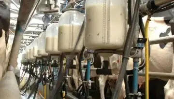 &Pi;&epsilon;&rho;&iota;&sigma;&sigma;ό&tau;&epsilon;&rho;&omicron; &gamma;ά&lambda;&alpha;, &lambda;&iota;&gamma;ό&tau;&epsilon;&rho;&alpha; έ&sigma;&omicron;&delta;&alpha;; &Omicron;&iota; &nu;έ&epsilon;&sigmaf; &tau;ά&sigma;&epsilon;&iota;&sigmaf; &sigma;&tau;&eta;&nu; &epsilon;&upsilon;&rho;&omega;&pi;&alpha;ϊ&kappa;ή &alpha;&gamma;&omicron;&rho;ά &gamma;&alpha;&lambda;&alpha;&kappa;&tau;&omicron;&kappa;&omicron;&mu;&iota;&kappa;ώ&nu; &bull; &Theta;&epsilon;&sigma;&sigma;&alpha;&lambda;&iota;&kappa;ή &Gamma;&eta; &bull; &Tau;&alpha; &Alpha;&gamma;&rho;&omicron;&tau;&iota;&kappa;ά &Nu;έ&alpha; &tau;&eta;&sigmaf; &Theta;&epsilon;&sigma;&sigma;&alpha;&lambda;ί&alpha;&sigmaf;