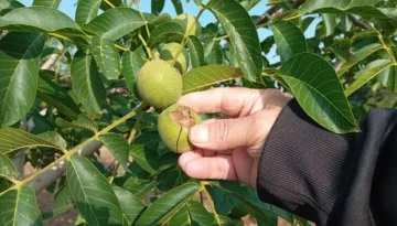 Χαλάζι «φονιάς» στα Γρεβενά και το Τσοτύλι: Καλλιέργειες ισοπεδώθηκαν σε μισή ώρα ΦΩΤΟ | ΕΙΔΗΣΕΙΣ