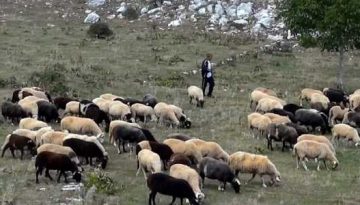 Υποβολή παραστατικών συμμόρφωσης για απειλούμενες αυτόχθονες φυλές