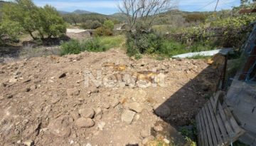 Αφθώδης πυρετός: «Υγειονομική βόμβα» οι χώροι ταφής των μολυσμένων ζώων στη Λέσβο – Δείτε φωτογραφίες