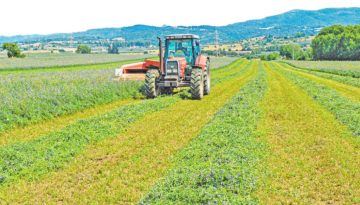 De minimis μηδικής: Στη Διαύγεια η απόφαση για πληρωμή ύψους 29,52 εκατ. ευρώ σε 26.218 δικαιούχους