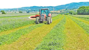 De minimis &mu;&eta;&delta;&iota;&kappa;ή&sigmaf;: &Sigma;&tau;&eta; &Delta;&iota;&alpha;ύ&gamma;&epsilon;&iota;&alpha; &eta; &alpha;&pi;ό&phi;&alpha;&sigma;&eta; &gamma;&iota;&alpha; &pi;&lambda;&eta;&rho;&omega;&mu;ή ύ&psi;&omicron;&upsilon;&sigmaf; 29,52 &epsilon;&kappa;&alpha;&tau;. &epsilon;&upsilon;&rho;ώ &sigma;&epsilon; 26.218 &delta;&iota;&kappa;&alpha;&iota;&omicron;ύ&chi;&omicron;&upsilon;&sigmaf;