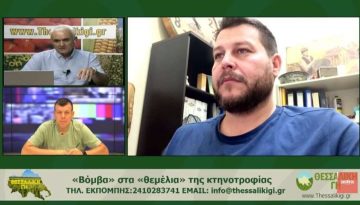 Θωμάς Μόσχος: «Το 90% των κτηνοτρόφων θα αποχωρήσει από την παραγωγή» – Καμπανάκι για το μέλλον της ελληνικής κτηνοτροφίας (βίντεο) • Θεσσαλική Γη • Τα Αγροτικά Νέα της Θεσσαλίας