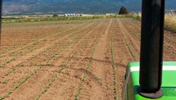 Νέα σχέδια βελτίωσης: Στους 40 βαθμούς η ελάχιστη βαθμολογία για την επιλεξιμότητα των αιτήσεων