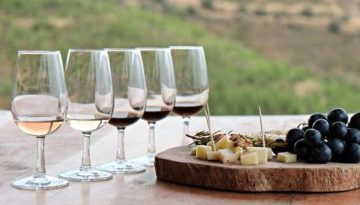 Οινογνωσία και πολιτισμός στη Θήβα: μια βραδιά αφιερωμένη στο κρασί και την αρχαία παράδοση • Θεσσαλική Γη • Τα Αγροτικά Νέα της Θεσσαλίας