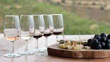 &Omicron;&iota;&nu;&omicron;&gamma;&nu;&omega;&sigma;ί&alpha; &kappa;&alpha;&iota; &pi;&omicron;&lambda;&iota;&tau;&iota;&sigma;&mu;ό&sigmaf; &sigma;&tau;&eta; &Theta;ή&beta;&alpha;: &mu;&iota;&alpha; &beta;&rho;&alpha;&delta;&iota;ά &alpha;&phi;&iota;&epsilon;&rho;&omega;&mu;έ&nu;&eta; &sigma;&tau;&omicron; &kappa;&rho;&alpha;&sigma;ί &kappa;&alpha;&iota; &tau;&eta;&nu; &alpha;&rho;&chi;&alpha;ί&alpha; &pi;&alpha;&rho;ά&delta;&omicron;&sigma;&eta; &bull; &Theta;&epsilon;&sigma;&sigma;&alpha;&lambda;&iota;&kappa;ή &Gamma;&eta; &bull; &Tau;&alpha; &Alpha;&gamma;&rho;&omicron;&tau;&iota;&kappa;ά &Nu;έ&alpha; &tau;&eta;&sigmaf; &Theta;&epsilon;&sigma;&sigma;&alpha;&lambda;ί&alpha;&sigmaf;