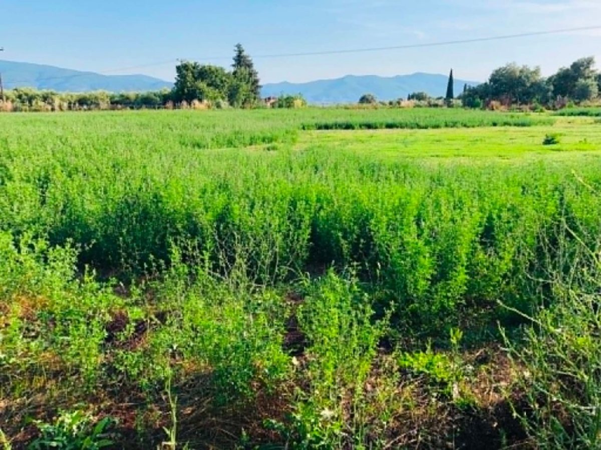 Πότε πληρώνονται τα εκκρεμή προγράμματα