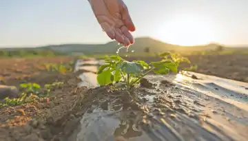 &Omicron;&iota; &alpha;&upsilon;&sigma;&tau;&eta;&rho;ό&tau;&epsilon;&rho;&omicron;&iota; έ&lambda;&epsilon;&gamma;&chi;&omicron;&iota; &sigma;&tau;&alpha; Eco Schemes &epsilon;ί&nu;&alpha;&iota;&nbsp;&alpha;&pi;&alpha;&rho;&alpha;ί&tau;&eta;&tau;&omicron;&iota;
