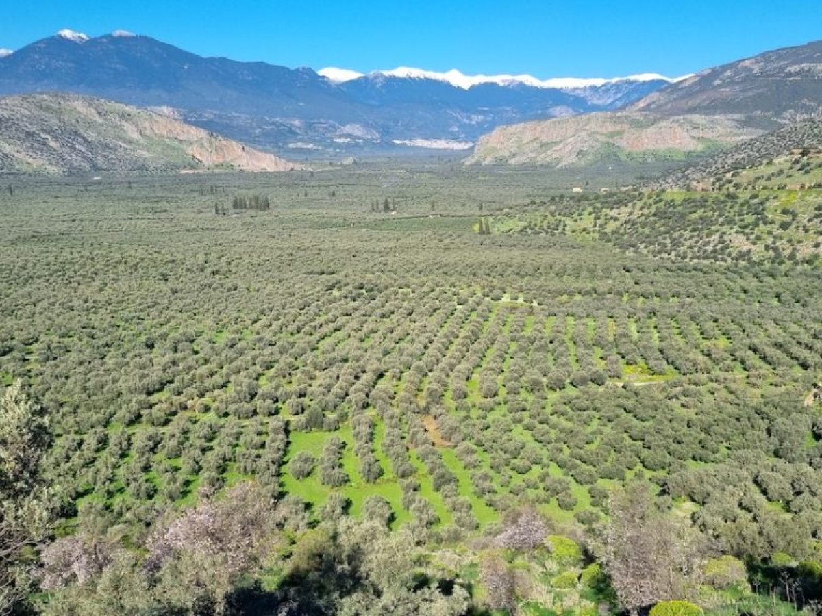 Απλήρωτοι οι ΟΕΦ επί δύο χρόνια – Χάνονται πολύτιμοι ευρωπαϊκοί πόροι