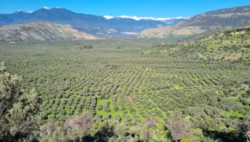 Απλήρωτοι οι ΟΕΦ επί δύο χρόνια – Χάνονται πολύτιμοι ευρωπαϊκοί πόροι