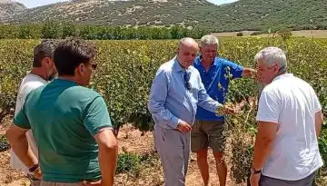 &Kappa;&alpha;&pi;&epsilon;&tau;ά&nu;&omicron;&sigmaf; &alpha;&pi;ό &Delta;&omicron;&mu;έ&nu;&iota;&kappa;&omicron;, &Epsilon;&upsilon;&alpha;&gamma;&gamma;&epsilon;&lambda;&iota;&sigma;&mu;ό, &Delta;&alpha;&mu;ά&sigma;&iota;, &Pi;&lambda;&alpha;&tau;&alpha;&nu;&omicron;ύ&lambda;&iota;&alpha;, &Tau;&epsilon;&rho;&psi;&iota;&theta;έ&alpha; &kappa;&alpha;&iota; &Epsilon;&lambda;&epsilon;&upsilon;&theta;&epsilon;&rho;έ&sigmaf;: Ά&mu;&epsilon;&sigma;&eta; &kappa;&iota;&nu;&eta;&tau;&omicron;&pi;&omicron;ί&eta;&sigma;&eta; &tau;&eta;&sigmaf; &kappa;&upsilon;&beta;έ&rho;&nu;&eta;&sigma;&eta;&sigmaf; &kappa;&alpha;&iota; &tau;&omicron;&upsilon; &Epsilon;&Lambda;&Gamma;&Alpha; | Agronewsbomb | &Epsilon;&iota;&delta;ή&sigma;&epsilon;&iota;&sigmaf; &kappa;&alpha;&iota; &nu;έ&alpha; &gamma;&iota;&alpha; &alpha;&gamma;&rho;ό&tau;&epsilon;&sigmaf; &kappa;&alpha;&iota; &kappa;&tau;&eta;&nu;&omicron;&tau;&rho;ό&phi;&omicron;&upsilon;&sigmaf;