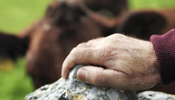 Πιο κοντά τα αγροτικά δάνεια μέσω της ΕΑΤ, στήριξη μέχρι 90.000  ευρώ για αγρότες έως 41 ετών και επενδυτικά 25.000 έως 3,5 εκατ.