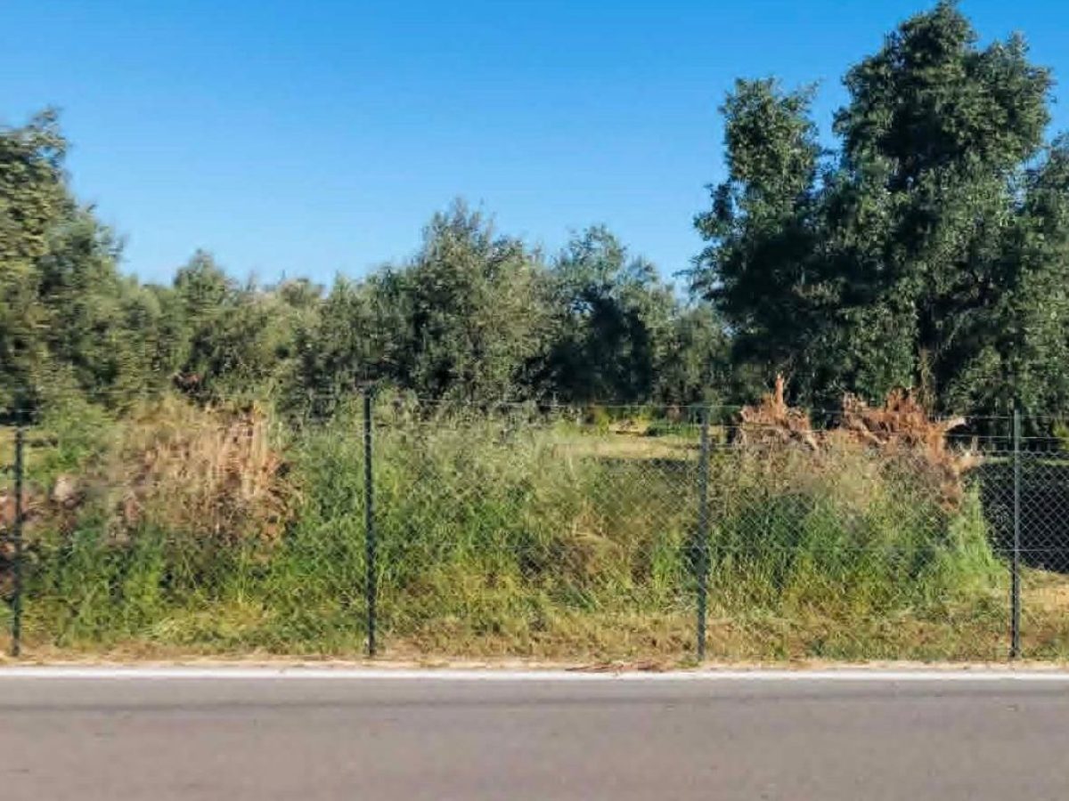 20.000.000 € στους Δήμους για έργα αγροτικής και εσωτερικής οδοποιίας | Agronewsbomb | Ειδήσεις και νέα για αγρότες και κτηνοτρόφους