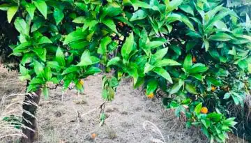 &Sigma;&upsilon;&nu;ά&nu;&tau;&eta;&sigma;&eta; &Sigma;&tau;&alpha;&mu;&epsilon;&nu;ί&tau;&eta; &gamma;&iota;&alpha; &tau;&alpha; &delta;&iota;&alpha;&kappa;&alpha;&tau;&epsilon;&chi;ό&mu;&epsilon;&nu;&alpha; &alpha;&kappa;ί&nu;&eta;&tau;&alpha; | Agronewsbomb | &Epsilon;&iota;&delta;ή&sigma;&epsilon;&iota;&sigmaf; &kappa;&alpha;&iota; &nu;έ&alpha; &gamma;&iota;&alpha; &alpha;&gamma;&rho;ό&tau;&epsilon;&sigmaf; &kappa;&alpha;&iota; &kappa;&tau;&eta;&nu;&omicron;&tau;&rho;ό&phi;&omicron;&upsilon;&sigmaf;