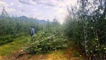 &Epsilon;&pi;&epsilon;ί&gamma;&omicron;&upsilon;&sigma;&alpha; &pi;&alpha;&rho;έ&mu;&beta;&alpha;&sigma;&eta; &gamma;&iota;&alpha; &tau;&iota;&sigmaf; &zeta;&eta;&mu;&iota;έ&sigmaf; &alpha;&pi;ό &tau;&eta;&nu; &kappa;&alpha;&kappa;&omicron;&kappa;&alpha;&iota;&rho;ί&alpha; &sigma;&tau;&alpha; &Rho;&iota;&zeta;ώ&mu;&alpha;&tau;&alpha; &Eta;&mu;&alpha;&theta;ί&alpha;&sigmaf;