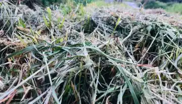 &Pi;&omicron;&nu;&tau;ί&kappa;&iota;&alpha; &kappa;&alpha;&tau;&alpha;&sigma;&tau;&rho;έ&phi;&omicron;&upsilon;&nu; &kappa;&alpha;&lambda;&lambda;&iota;έ&rho;&gamma;&epsilon;&iota;&epsilon;&sigmaf; &mu;&eta;&delta;&iota;&kappa;ή&sigmaf; &sigma;&tau;&eta; &Beta;&omicron;&iota;&omega;&tau;ί&alpha; | Agronewsbomb | &Epsilon;&iota;&delta;ή&sigma;&epsilon;&iota;&sigmaf; &kappa;&alpha;&iota; &nu;έ&alpha; &gamma;&iota;&alpha; &alpha;&gamma;&rho;ό&tau;&epsilon;&sigmaf; &kappa;&alpha;&iota; &kappa;&tau;&eta;&nu;&omicron;&tau;&rho;ό&phi;&omicron;&upsilon;&sigmaf;