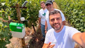 Παρακολούθηση real time σε αμπελοκαλλιέργειες με τεχνητή νοημοσύνη | Agronewsbomb | Ειδήσεις και νέα για αγρότες και κτηνοτρόφους
