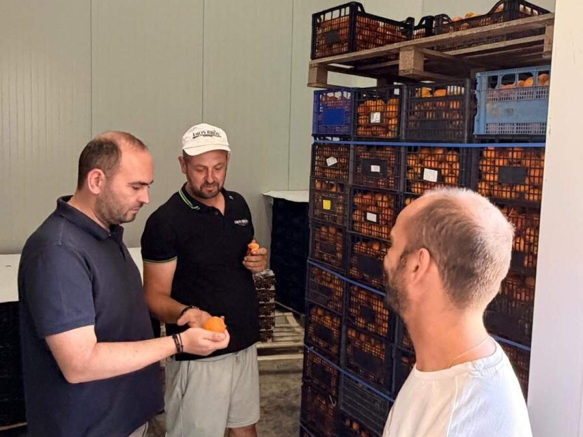 Επίσκεψη Βασιλειάδη σε συνεταιρισμούς, ομάδες, διαλογητήρια – πότε θα πληρωθούν οι αποζημιώσεις | Agronewsbomb | Ειδήσεις και νέα για αγρότες και κτηνοτρόφους