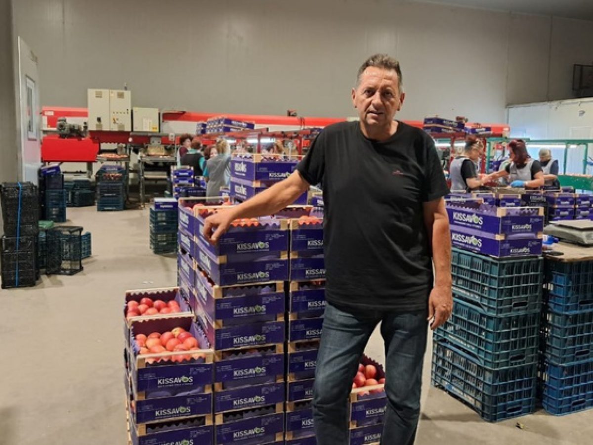 Μειωμένη κατά 30% η παραγωγή πρώιμων μήλων στη Θεσσαλία – Ανησυχία στους παραγωγούς για τη νέα σεζόν • Θεσσαλική Γη • Τα Αγροτικά Νέα της Θεσσαλίας