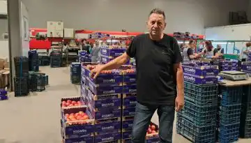 &Mu;&epsilon;&iota;&omega;&mu;έ&nu;&eta; &kappa;&alpha;&tau;ά 30% &eta; &pi;&alpha;&rho;&alpha;&gamma;&omega;&gamma;ή &pi;&rho;ώ&iota;&mu;&omega;&nu; &mu;ή&lambda;&omega;&nu; &sigma;&tau;&eta; &Theta;&epsilon;&sigma;&sigma;&alpha;&lambda;ί&alpha; &ndash; &Alpha;&nu;&eta;&sigma;&upsilon;&chi;ί&alpha; &sigma;&tau;&omicron;&upsilon;&sigmaf; &pi;&alpha;&rho;&alpha;&gamma;&omega;&gamma;&omicron;ύ&sigmaf; &gamma;&iota;&alpha; &tau;&eta; &nu;έ&alpha; &sigma;&epsilon;&zeta;ό&nu; &bull; &Theta;&epsilon;&sigma;&sigma;&alpha;&lambda;&iota;&kappa;ή &Gamma;&eta; &bull; &Tau;&alpha; &Alpha;&gamma;&rho;&omicron;&tau;&iota;&kappa;ά &Nu;έ&alpha; &tau;&eta;&sigmaf; &Theta;&epsilon;&sigma;&sigma;&alpha;&lambda;ί&alpha;&sigmaf;