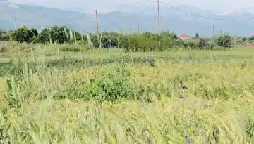 &Pi;&alpha;&rho;έ&mu;&beta;&alpha;&sigma;&eta; &Zeta;&epsilon;ϊ&mu;&pi;έ&kappa; &sigma;&tau;&eta; &beta;&omicron;&upsilon;&lambda;ή &gamma;&iota;&alpha; &sigma;&iota;&tau;&omicron;&pi;&alpha;&rho;&alpha;&gamma;&omega;&gamma;&omicron;ύ&sigmaf; | Agronewsbomb | &Epsilon;&iota;&delta;ή&sigma;&epsilon;&iota;&sigmaf; &kappa;&alpha;&iota; &nu;έ&alpha; &gamma;&iota;&alpha; &alpha;&gamma;&rho;ό&tau;&epsilon;&sigmaf; &kappa;&alpha;&iota; &kappa;&tau;&eta;&nu;&omicron;&tau;&rho;ό&phi;&omicron;&upsilon;&sigmaf;
