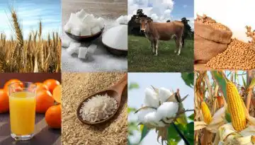 &Sigma;&iota;&tau;ά&rho;&iota;, &kappa;&alpha;&lambda;&alpha;&mu;&pi;ό&kappa;&iota; &kappa;&alpha;&iota; &sigma;ό&gamma;&iota;&alpha; &omicron;&delta;&eta;&gamma;&omicron;ύ&nu; &tau;&iota;&sigmaf; &alpha;&gamma;&omicron;&rho;έ&sigmaf; &alpha;&gamma;&rho;&omicron;&tau;&iota;&kappa;ώ&nu; &pi;&rho;&omicron;ϊό&nu;&tau;&omega;&nu; &sigma;&epsilon; &upsilon;&psi;&eta;&lambda;ό&tau;&epsilon;&rho;&alpha; &epsilon;&pi;ί&pi;&epsilon;&delta;&alpha; &bull; &Theta;&epsilon;&sigma;&sigma;&alpha;&lambda;&iota;&kappa;ή &Gamma;&eta; &bull; &Tau;&alpha; &Alpha;&gamma;&rho;&omicron;&tau;&iota;&kappa;ά &Nu;έ&alpha; &tau;&eta;&sigmaf; &Theta;&epsilon;&sigma;&sigma;&alpha;&lambda;ί&alpha;&sigmaf;